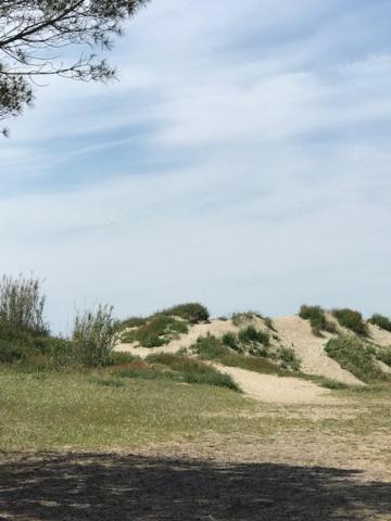 Oh! - La Tamarissière Camping